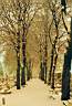 TN_Image-56.JPG